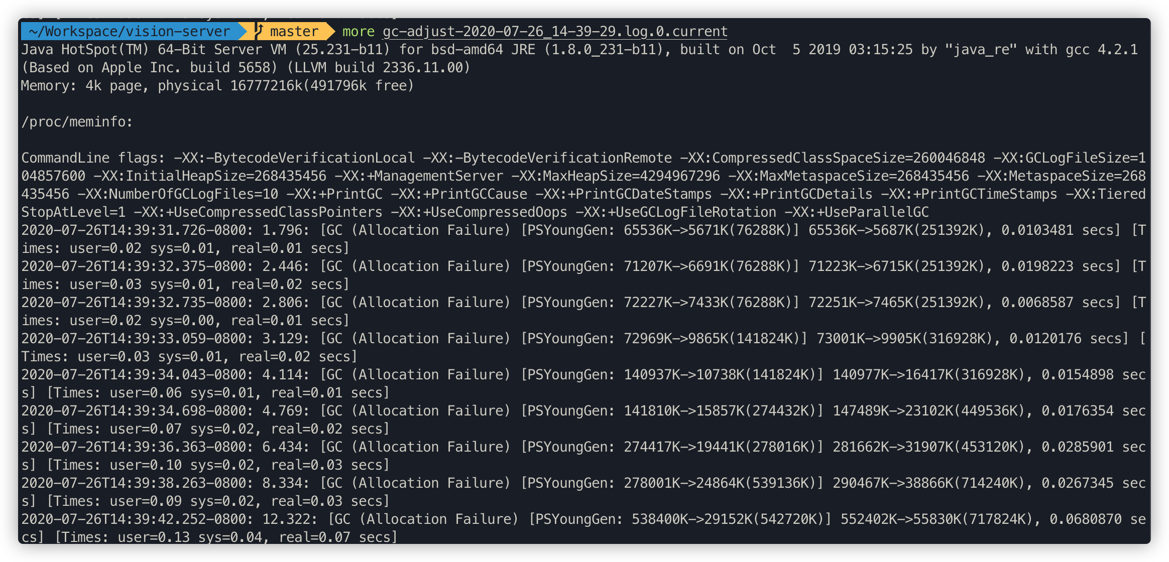 gc-log-adjust