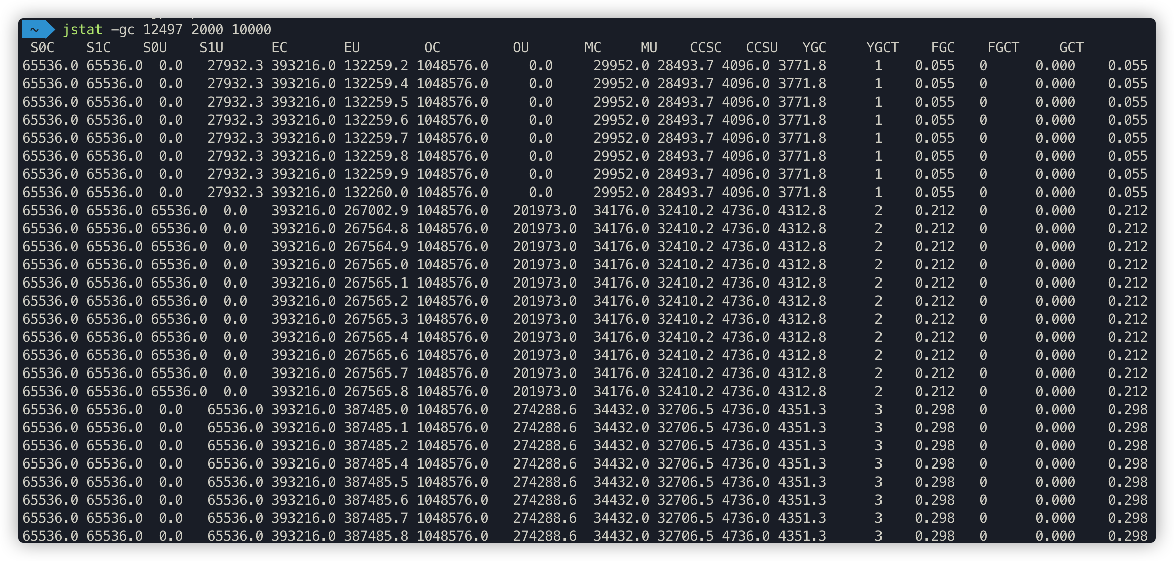 jstat-gc-sample-01