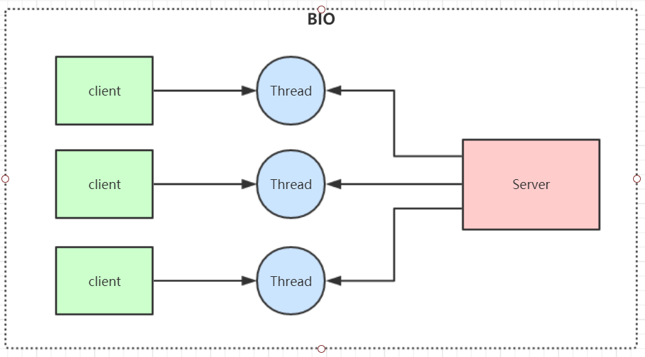 model-bio