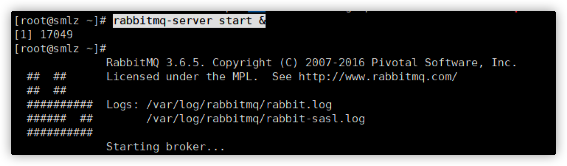 rabbitmq-start-10