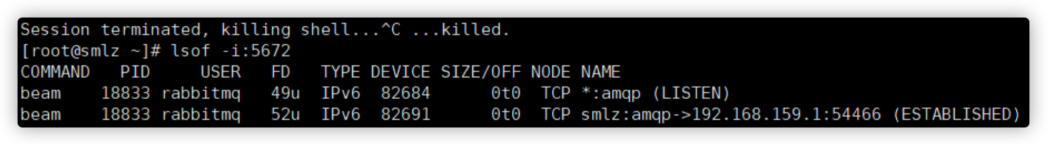rabbitmq-start-11