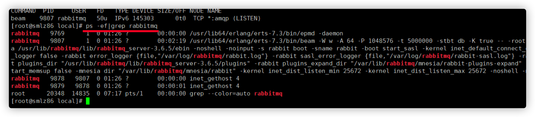 rabbitmq-start-12