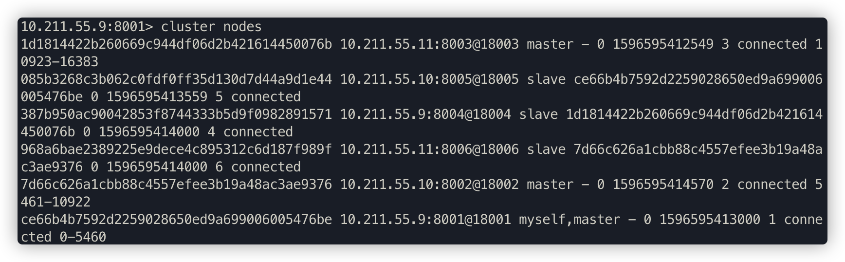 redis-cluster-node